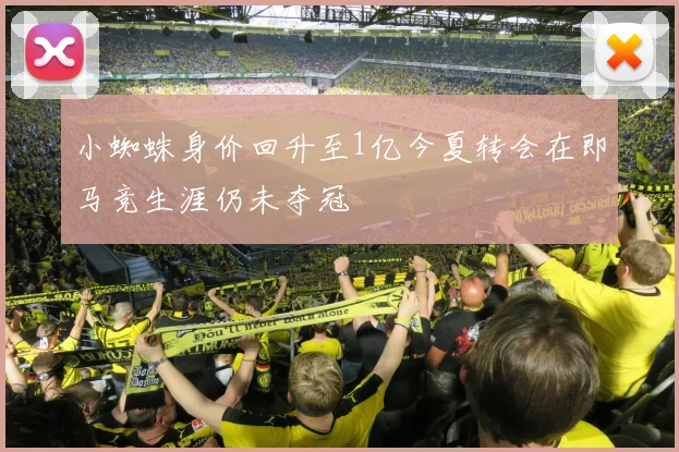 小蜘蛛身价回升至1亿今夏转会在即马竞生涯仍未夺冠