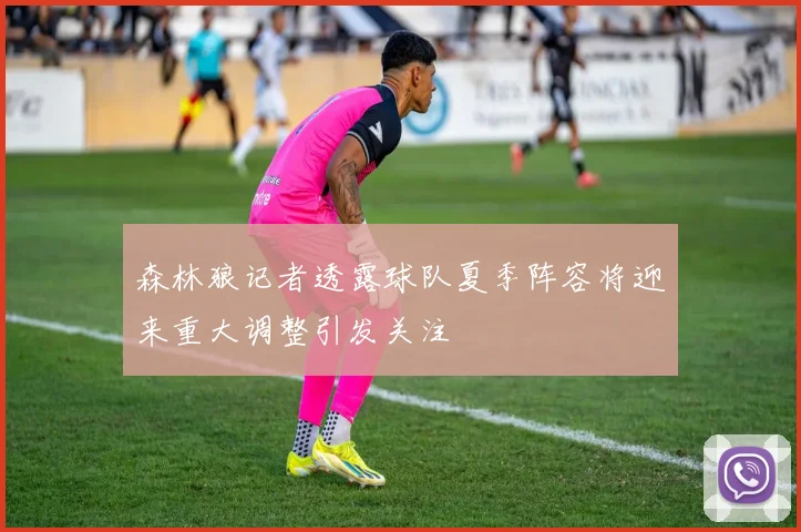 森林狼记者透露球队夏季阵容将迎来重大调整引发关注